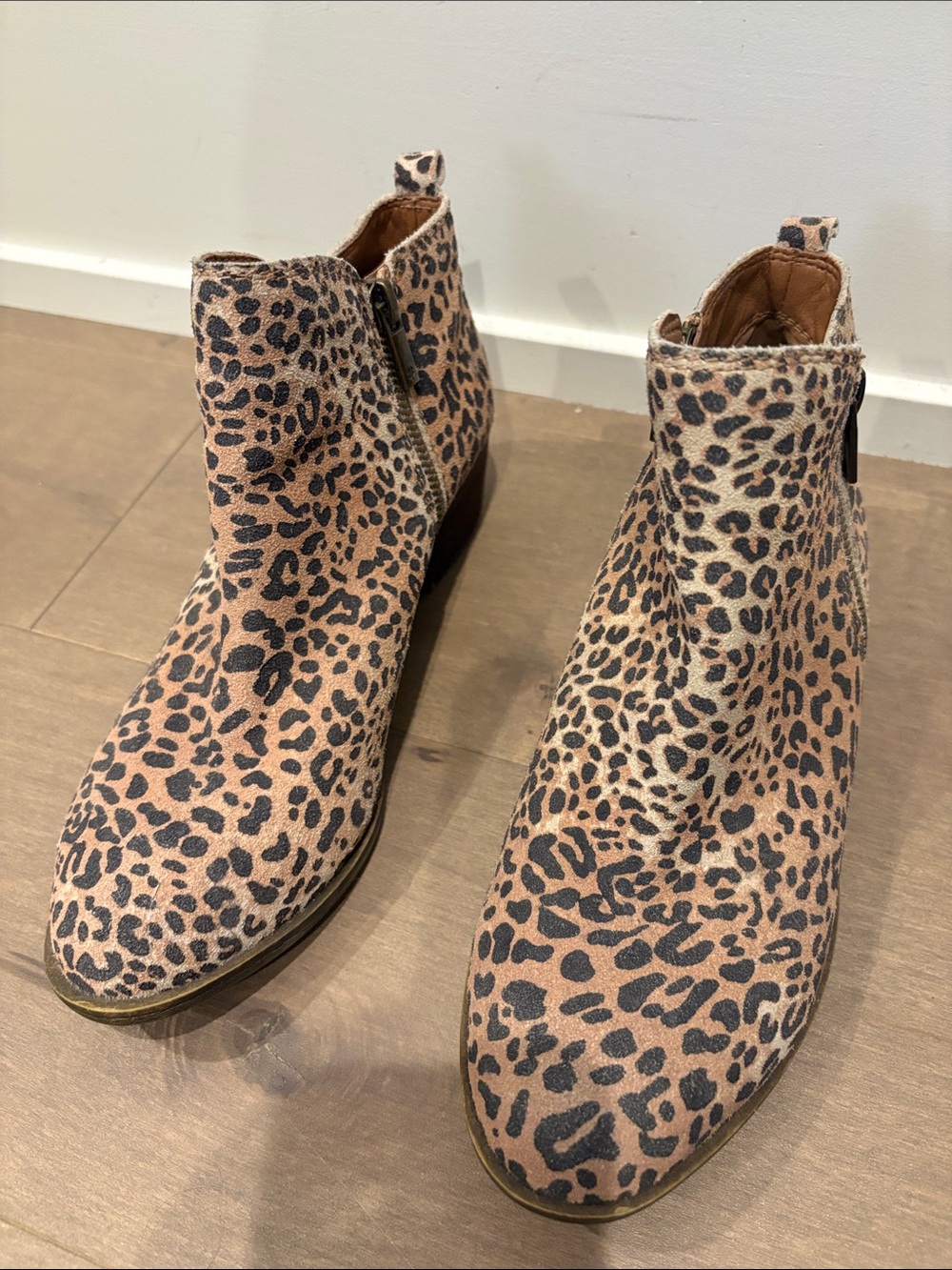 Lucky Brand Leopard Print Ankle Booties never worn